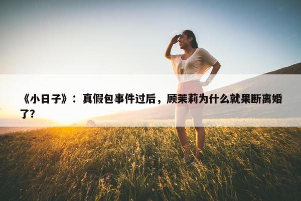 《小日子》：真假包事件过后，顾茉莉为什么就果断离婚了？