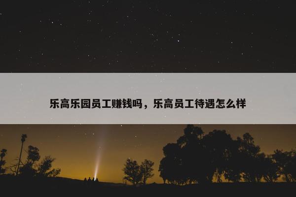 乐高乐园员工赚钱吗，乐高员工待遇怎么样