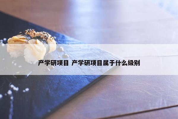 产学研项目 产学研项目属于什么级别