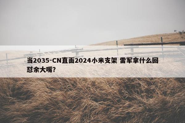 当2035-CN直面2024小米支架 雷军拿什么回怼余大嘴？