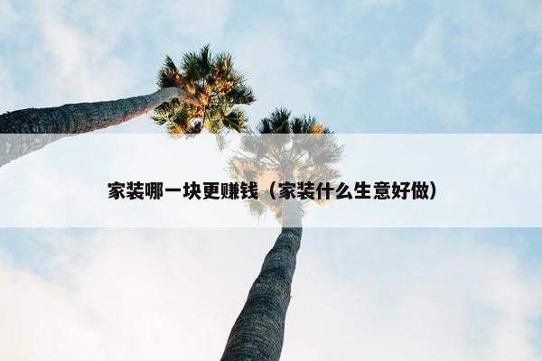 家装哪一块更赚钱（家装什么生意好做）