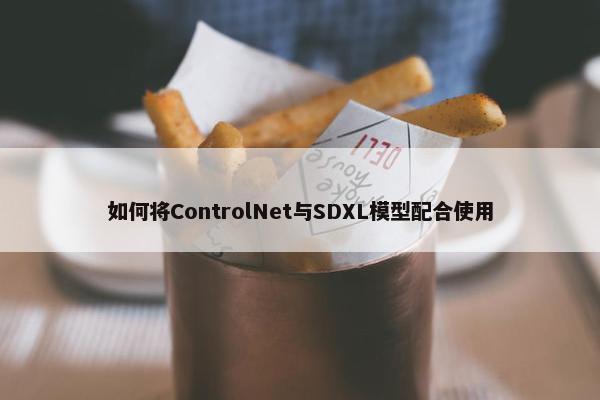 如何将ControlNet与SDXL模型配合使用