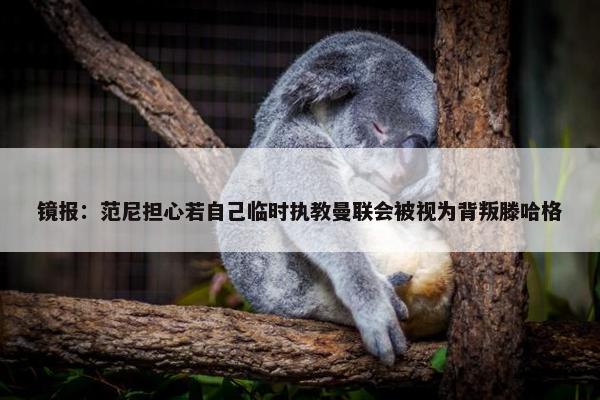 镜报：范尼担心若自己临时执教曼联会被视为背叛滕哈格