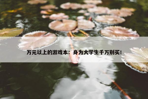 万元以上的游戏本：身为大学生千万别买！